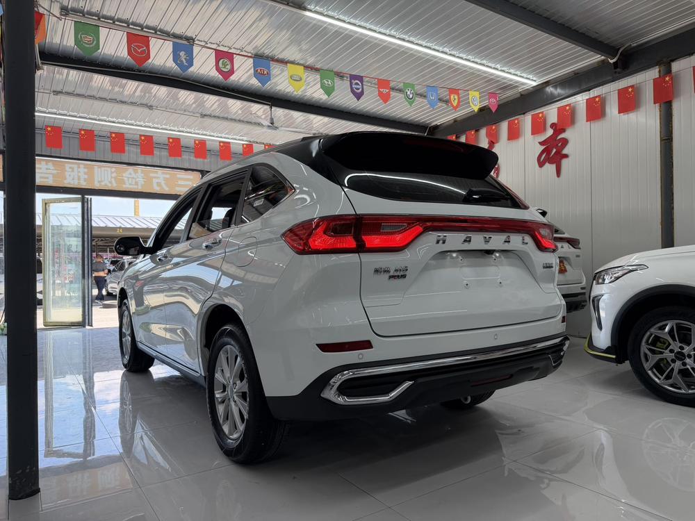 Haval Haval M6