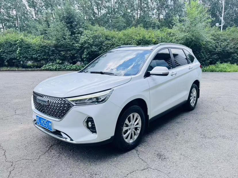 Haval Haval M6