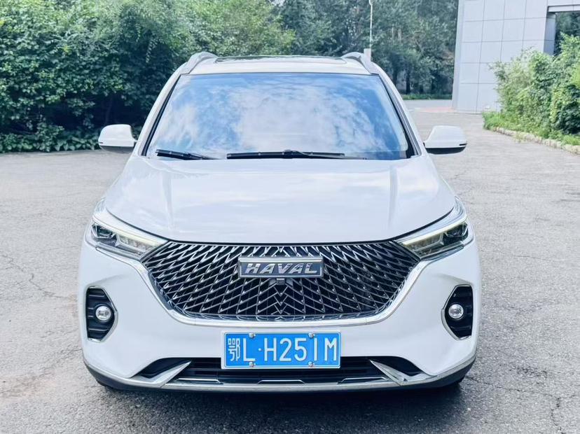Haval Haval M6