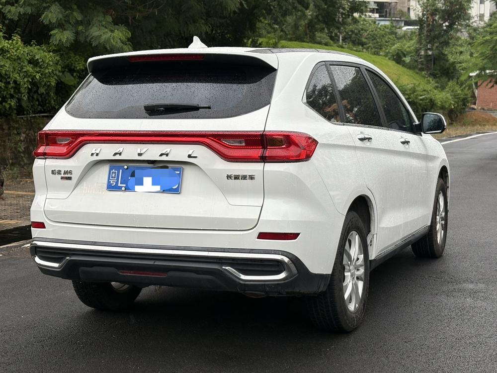 Haval Haval M6