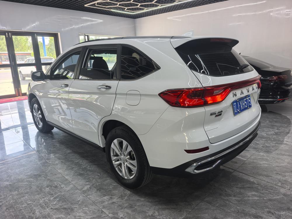 Haval Haval M6