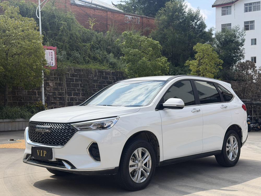 Haval Haval M6