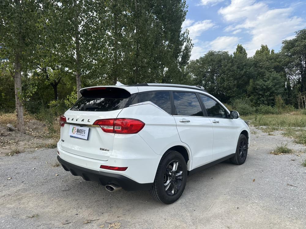 Haval Haval M6