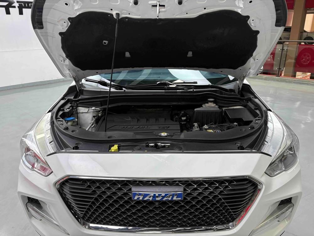 Haval Haval M6
