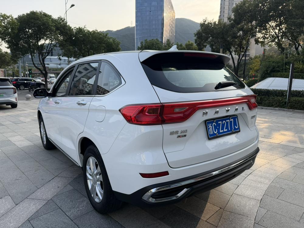 Haval Haval M6