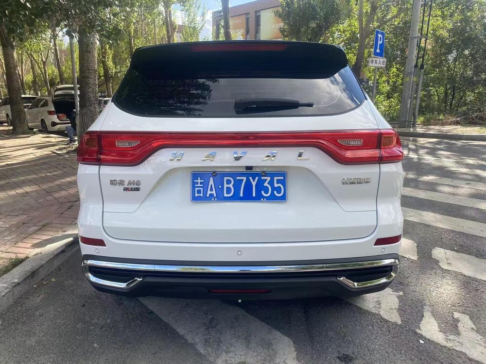 Haval Haval M6