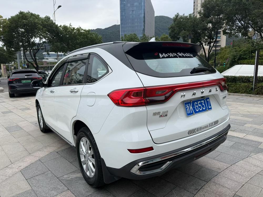 Haval Haval M6