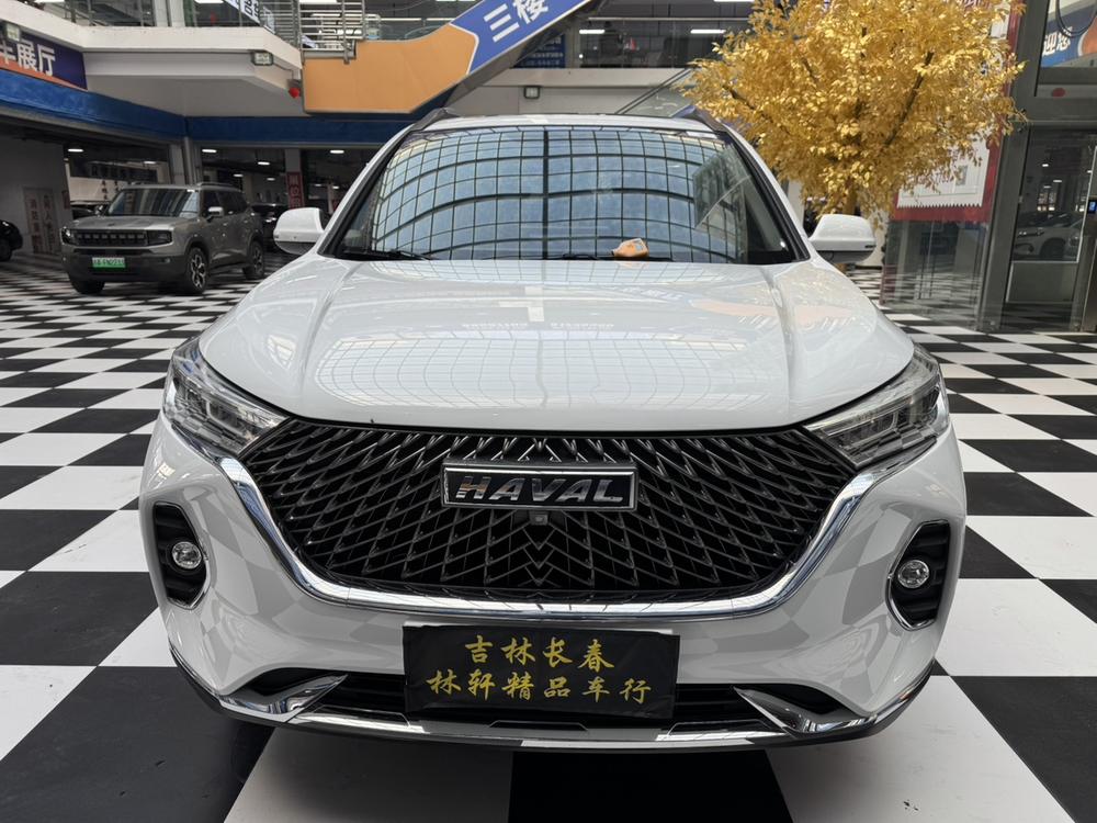 Haval Haval M6