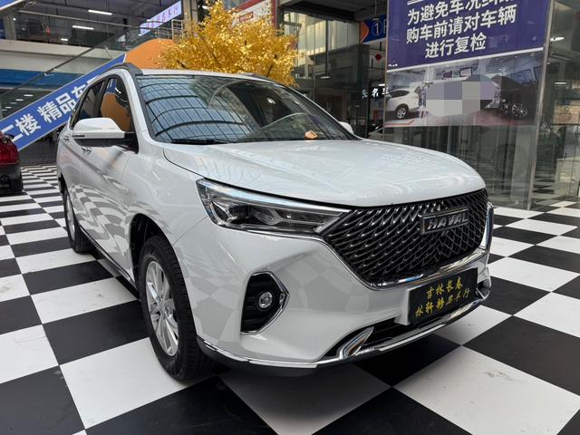 Haval Haval M6