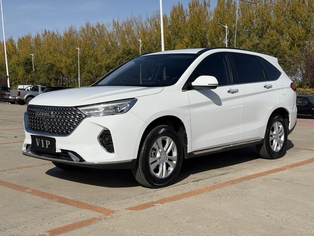 Haval Haval M6