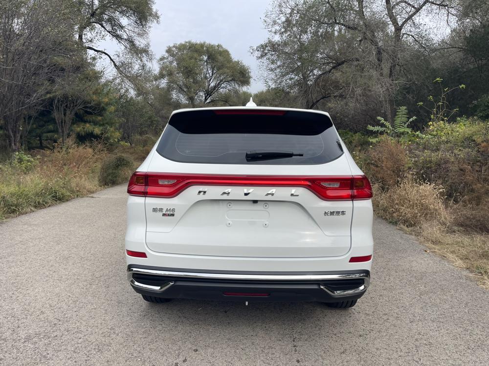 Haval Haval M6