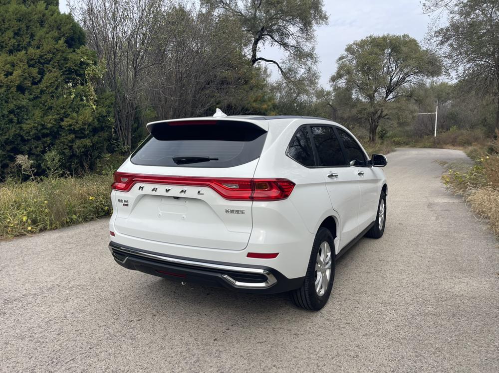 Haval Haval M6