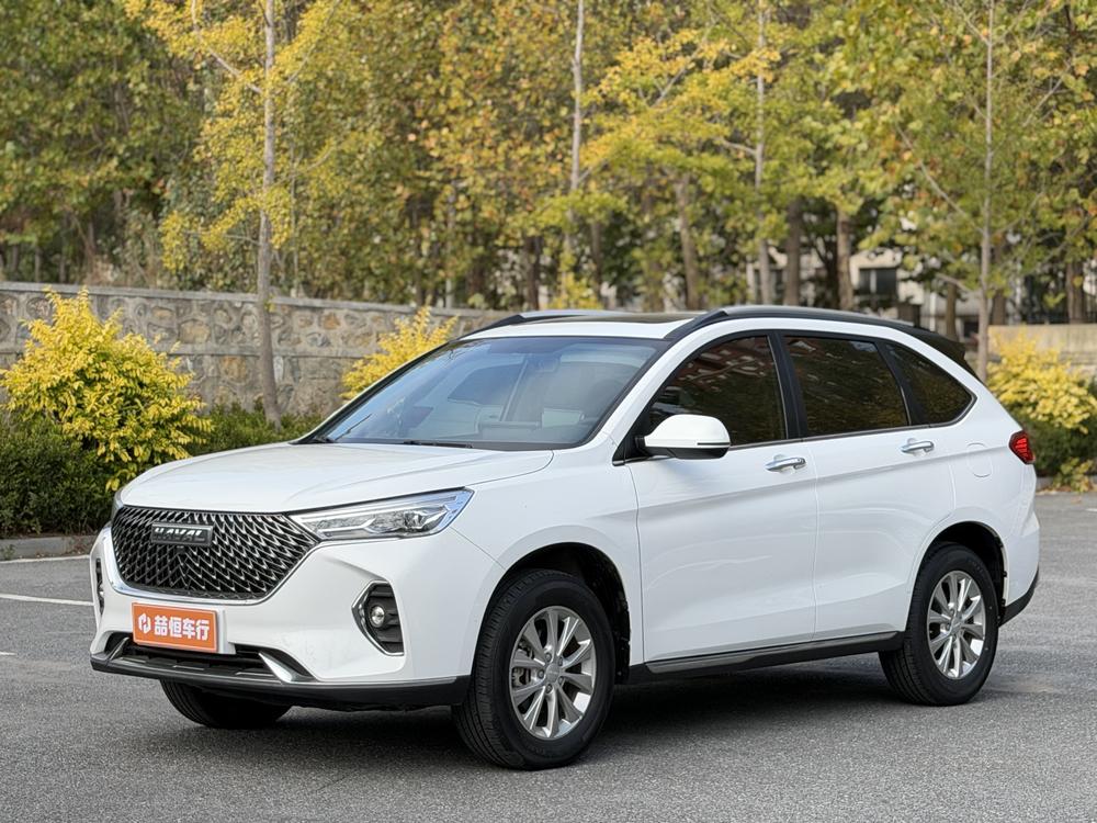 Haval Haval M6