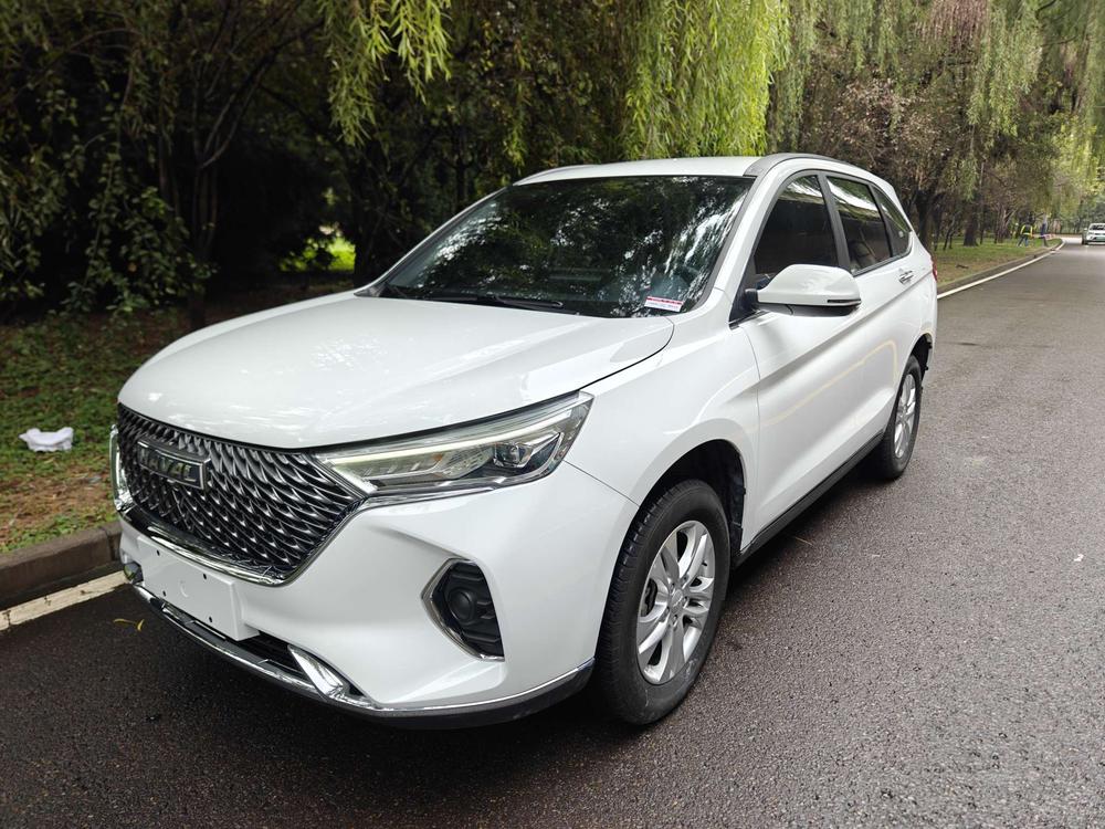 Haval Haval M6