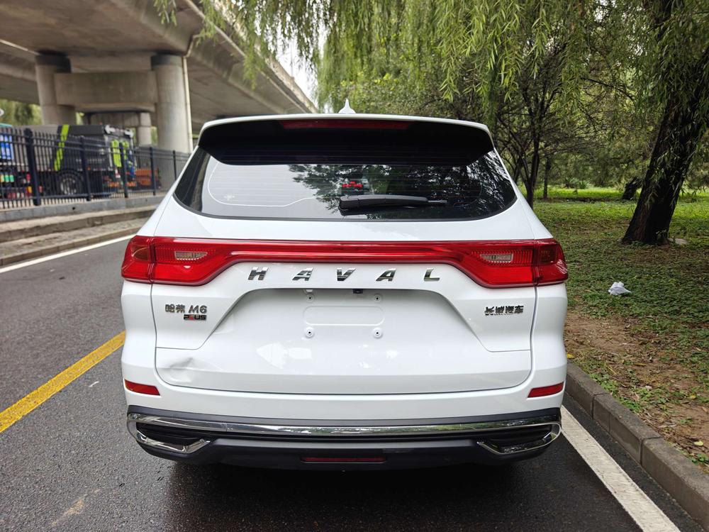 Haval Haval M6
