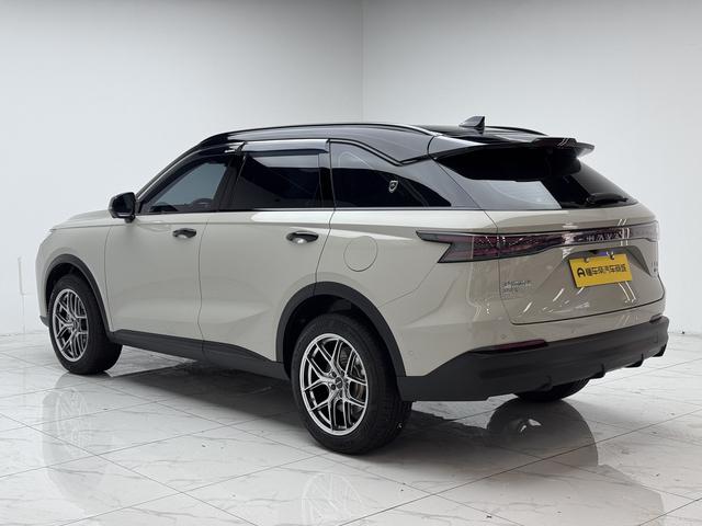 Haval Haval Xiaolong MAX