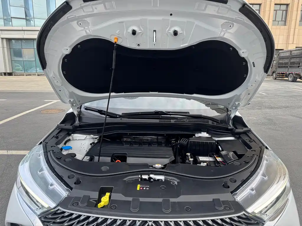 Haval M6