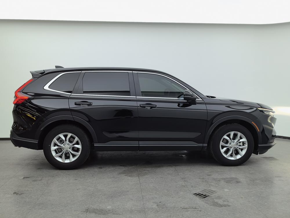 Honda Honda CR-V