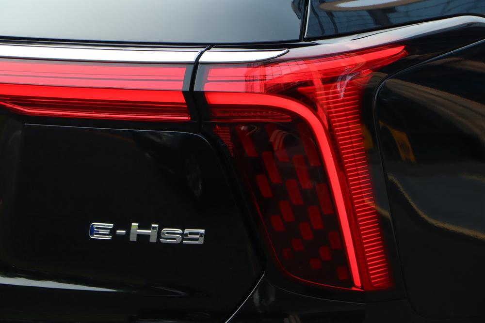 Hongqi Hongqi E-HS9
