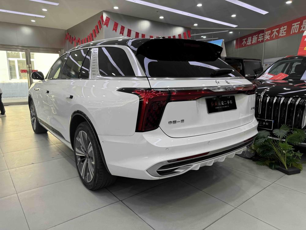 Hongqi Hongqi E-HS9