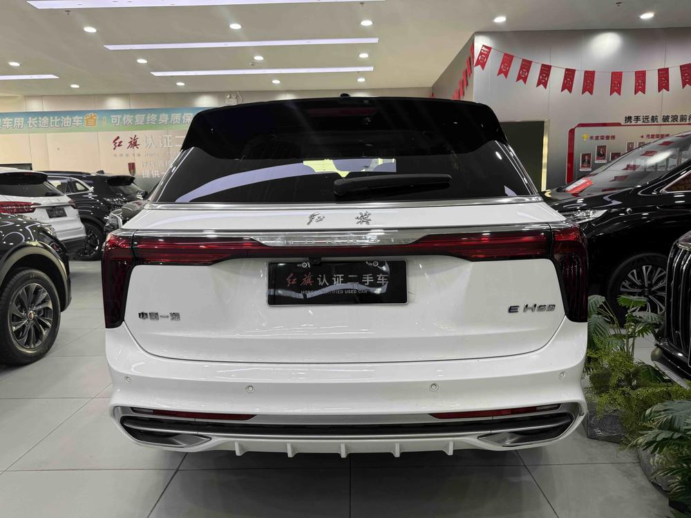 Hongqi Hongqi E-HS9