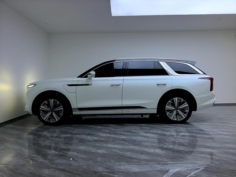 Hongqi Hongqi E-HS9