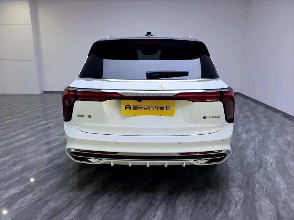 Hongqi Hongqi E-HS9