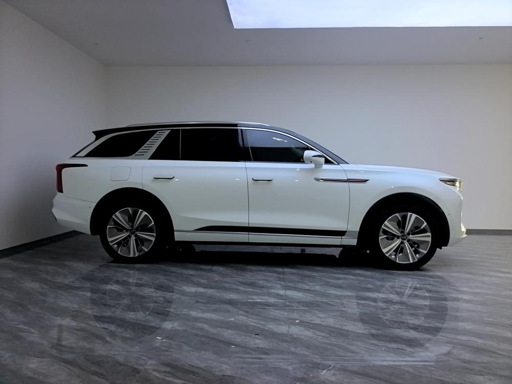 Hongqi Hongqi E-HS9