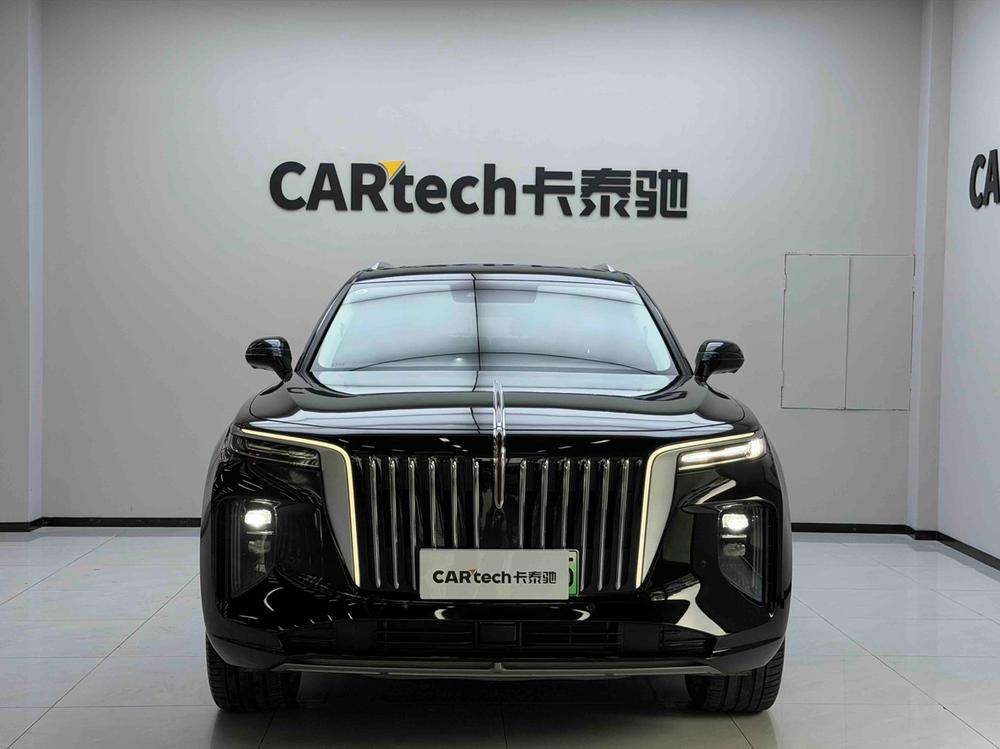 Hongqi Hongqi E-HS9