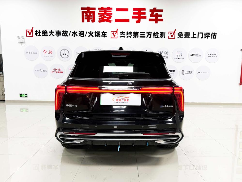 Hongqi Hongqi E-HS9