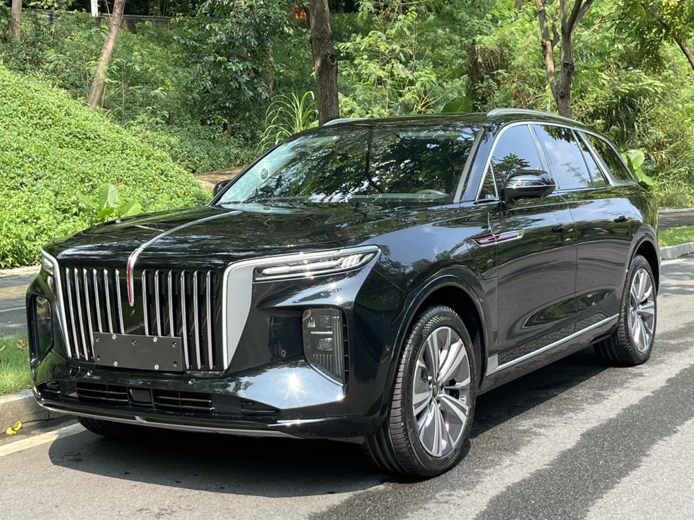 Hongqi Hongqi E-HS9