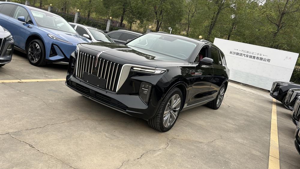 Hongqi Hongqi E-HS9