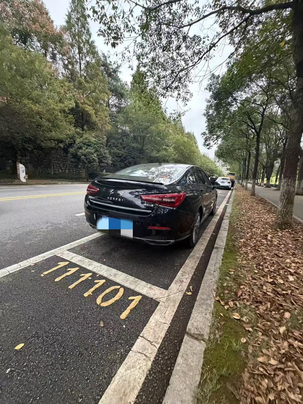 Hongqi Hongqi H5 Classic