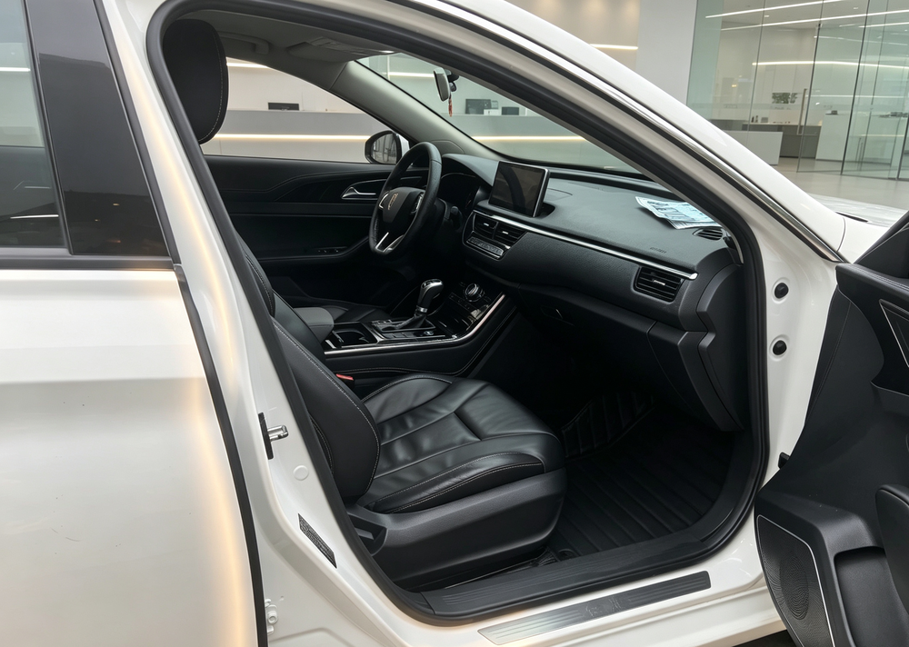 Hongqi Hongqi H5 Classic