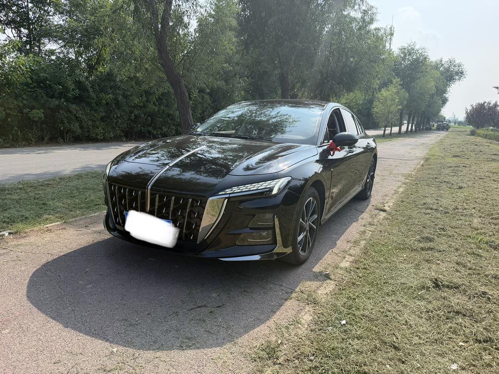 Hongqi Hongqi H6