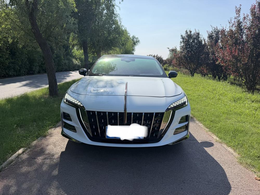 Hongqi Hongqi H6