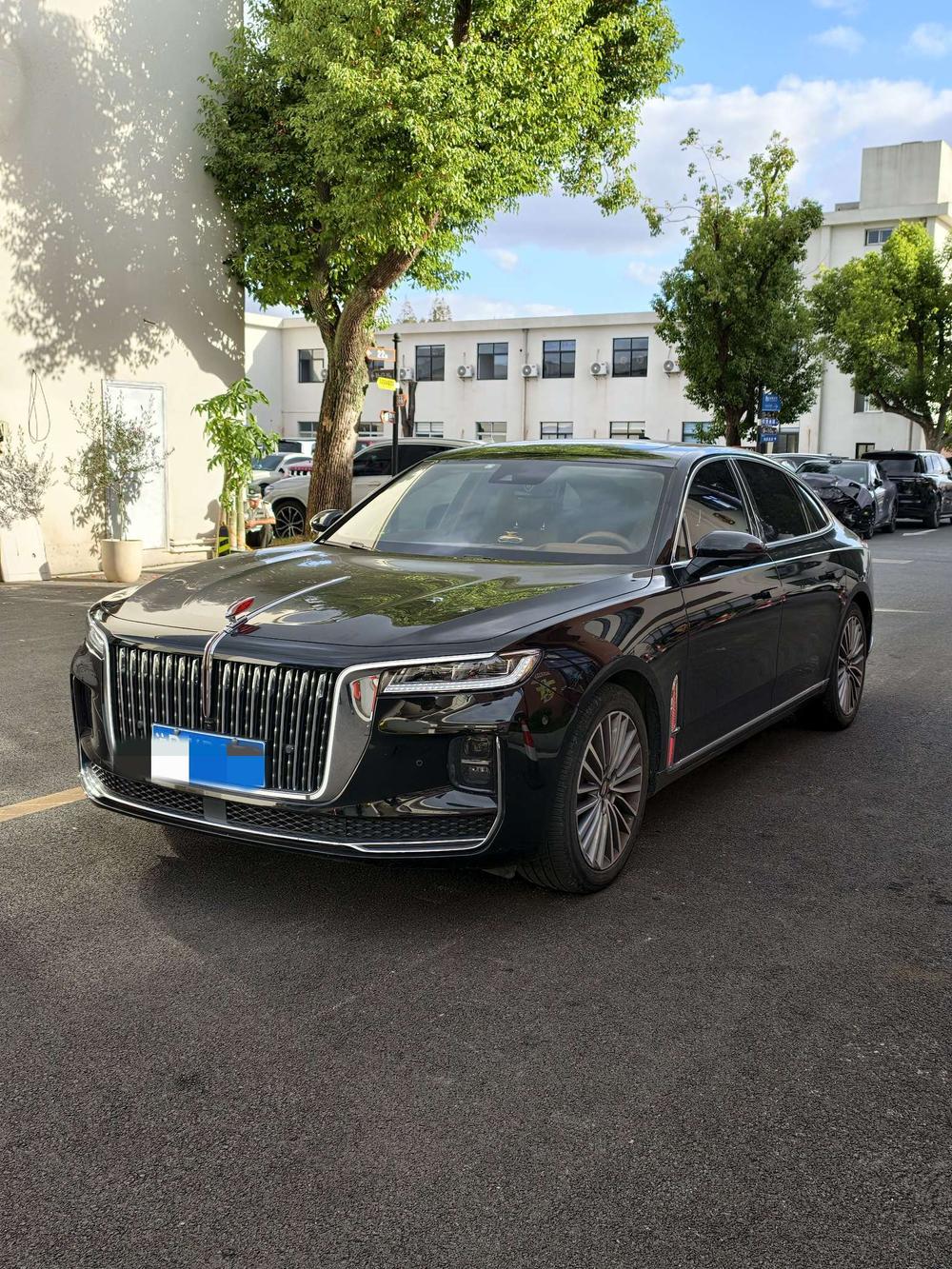 Hongqi Hongqi H9