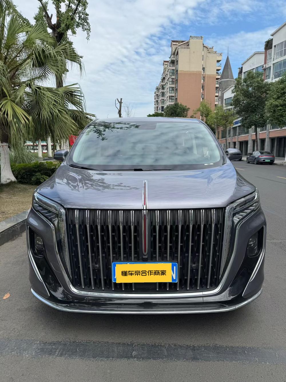 Hongqi Hongqi HQ9