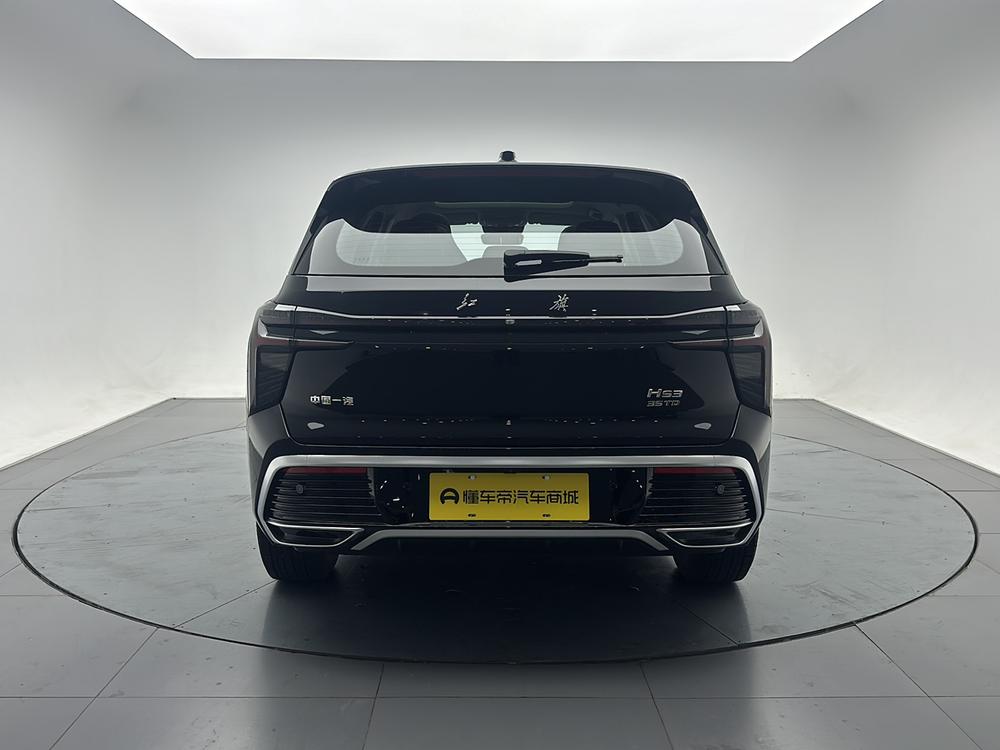 Hongqi Hongqi HS3
