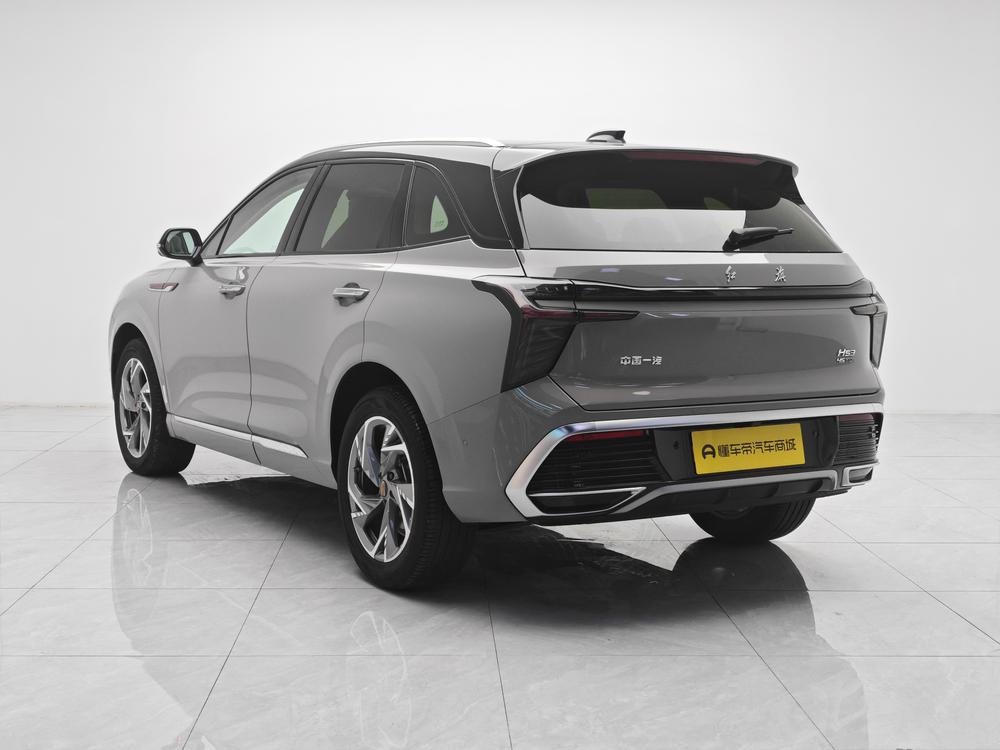 Hongqi Hongqi HS3
