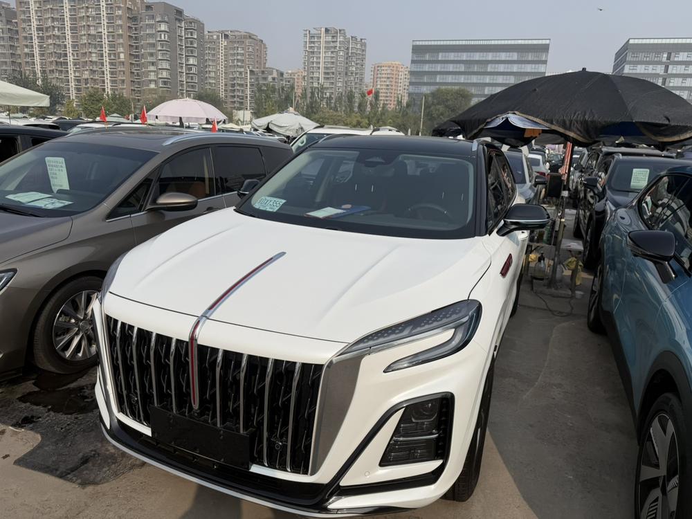 Hongqi Hongqi HS3