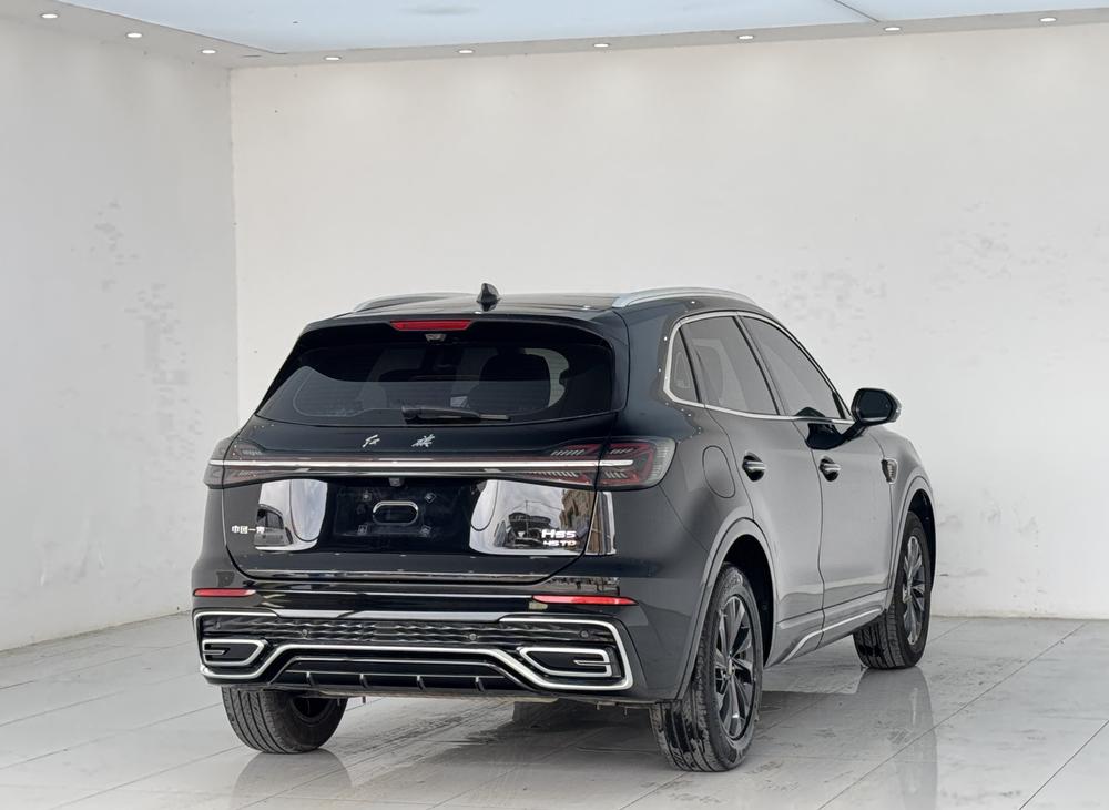 Hongqi Hongqi HS5