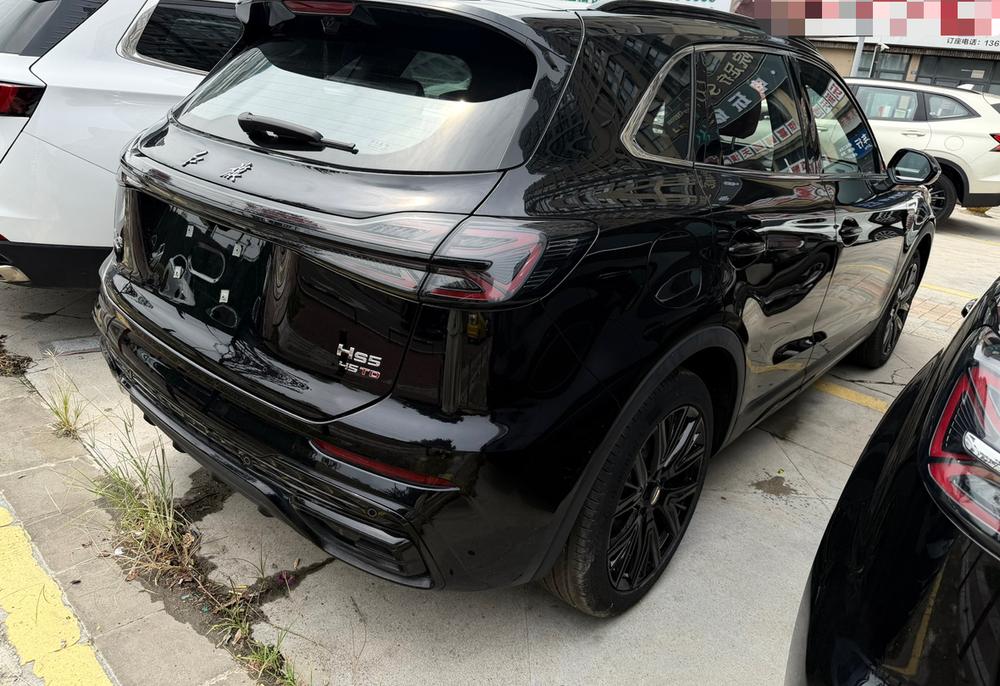 Hongqi Hongqi HS5