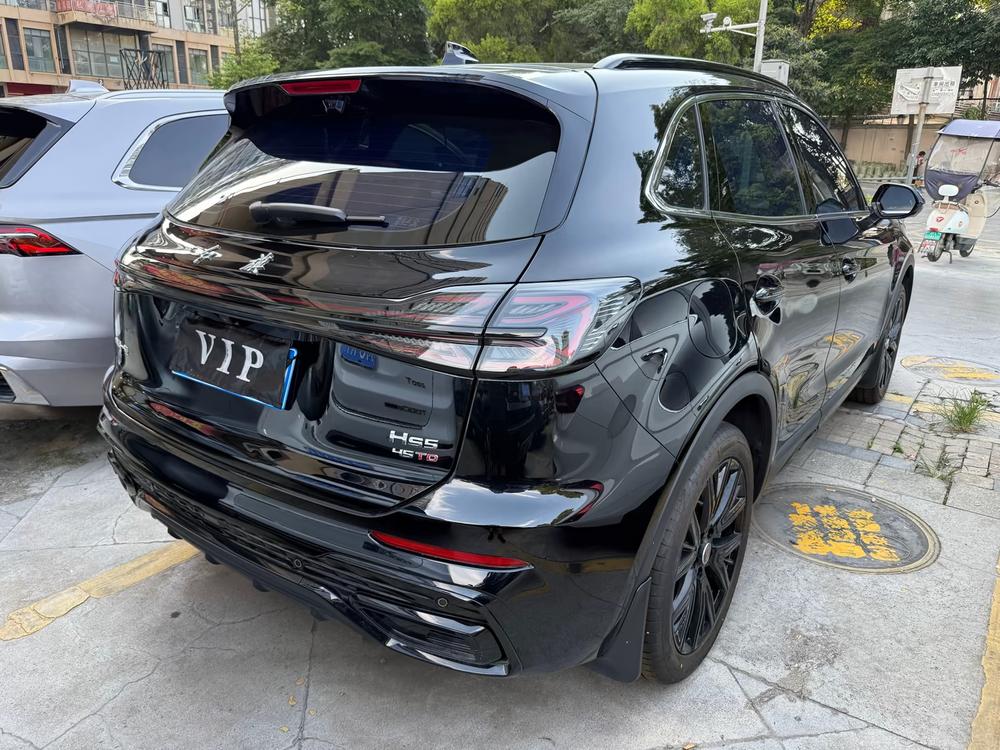 Hongqi Hongqi HS5