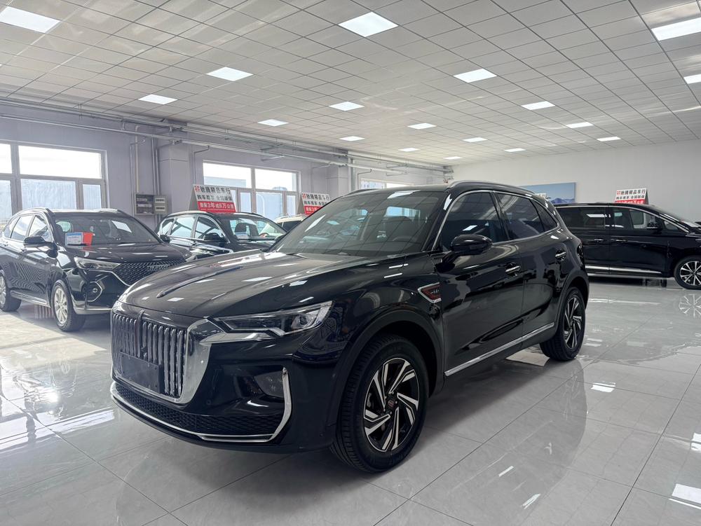 Hongqi Hongqi HS5