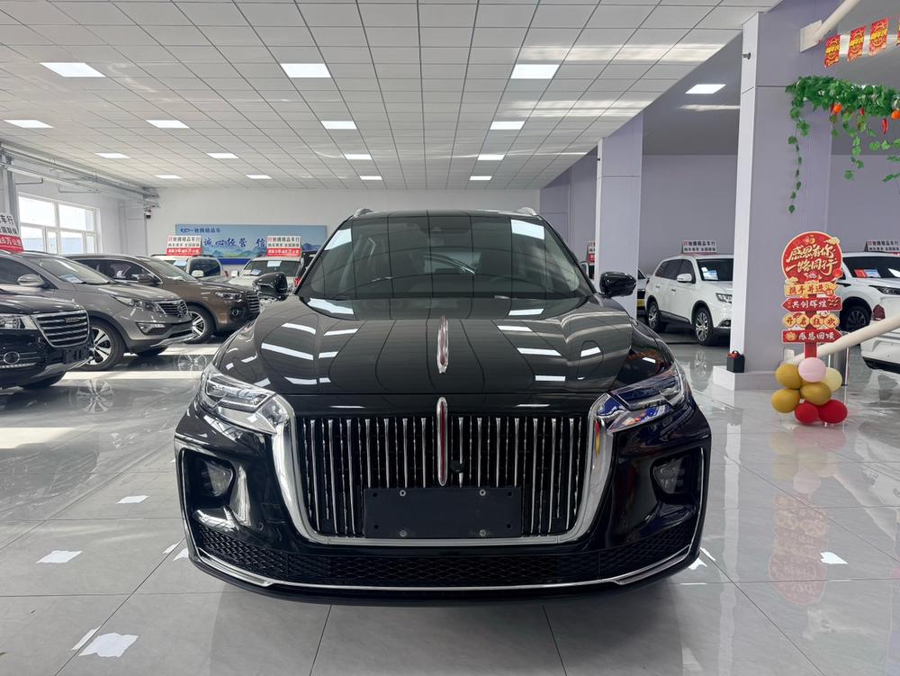 Hongqi Hongqi HS5