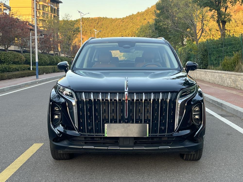 Hongqi Hongqi HS7 PHEV