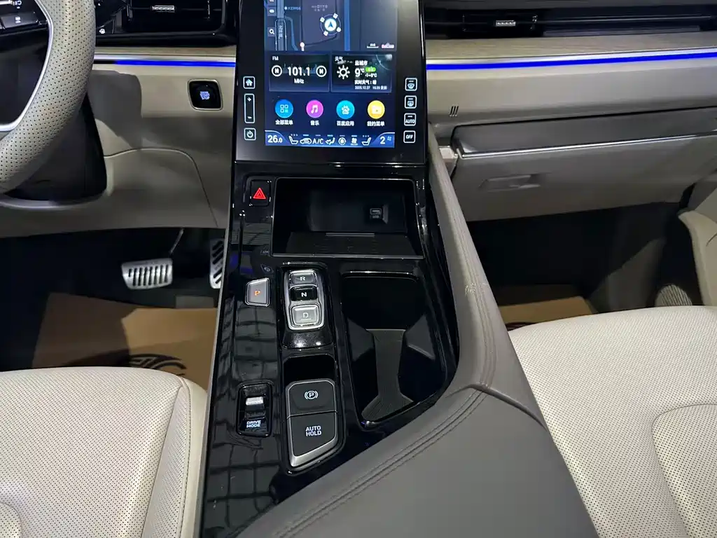 Hyundai Custo