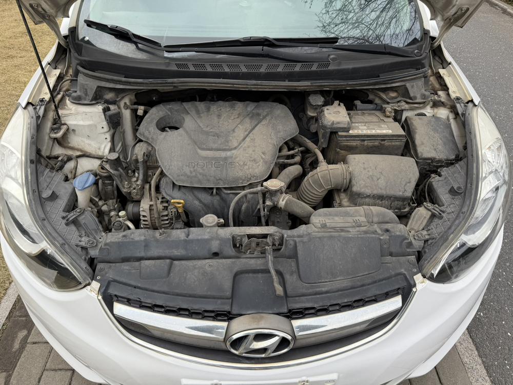 Hyundai Elantra Langdong