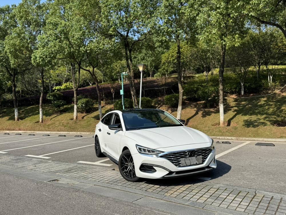 Hyundai Lafesta